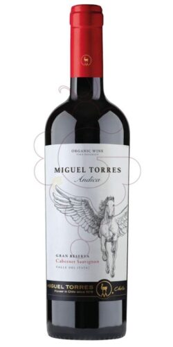 MIGUEL TORRES andica