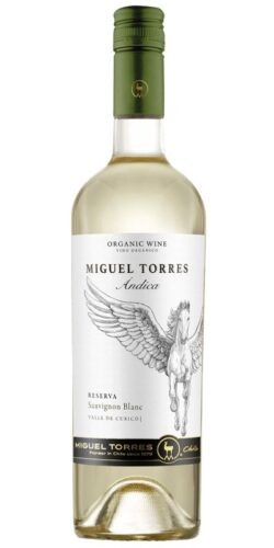MIGUEL TORRES andica sauvignon blanc